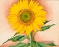 Eine Sonnenblume von Maggie Georgia Okeeffe Blumenschmuck